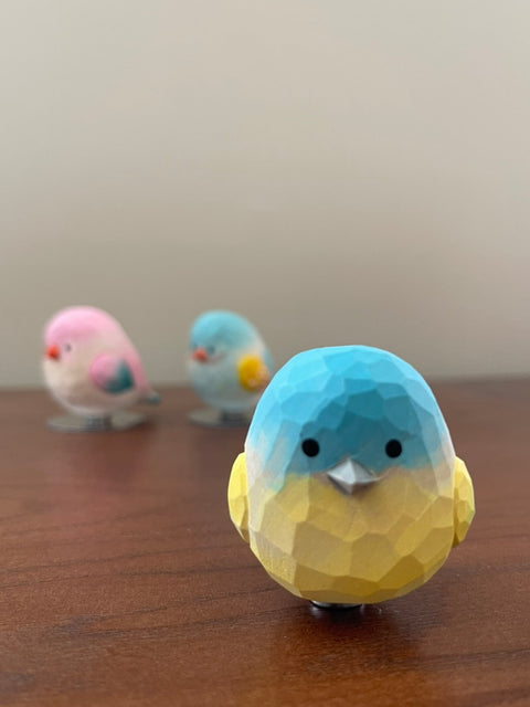 Practice Bird