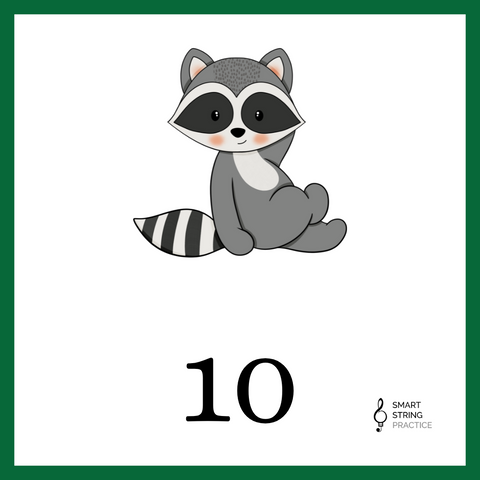 The Raccoon Rumba - Numberline
