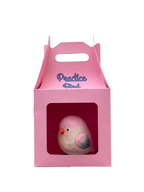 Practice Bird