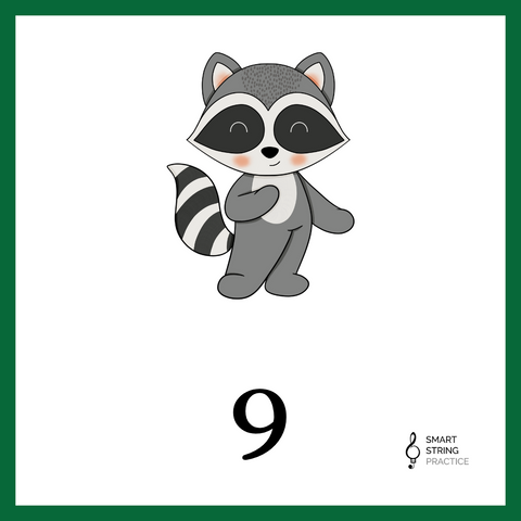 The Raccoon Rumba - Numberline